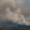 'Trees going up like Roman candles' as fire season starts early in BC and Alberta