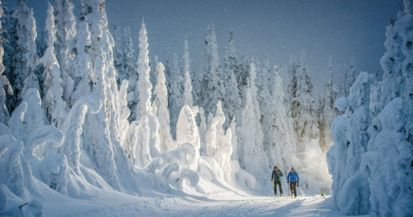Thompson Okanagan gets love in international travel stories Thompson Okanagan gets love in international travel stories