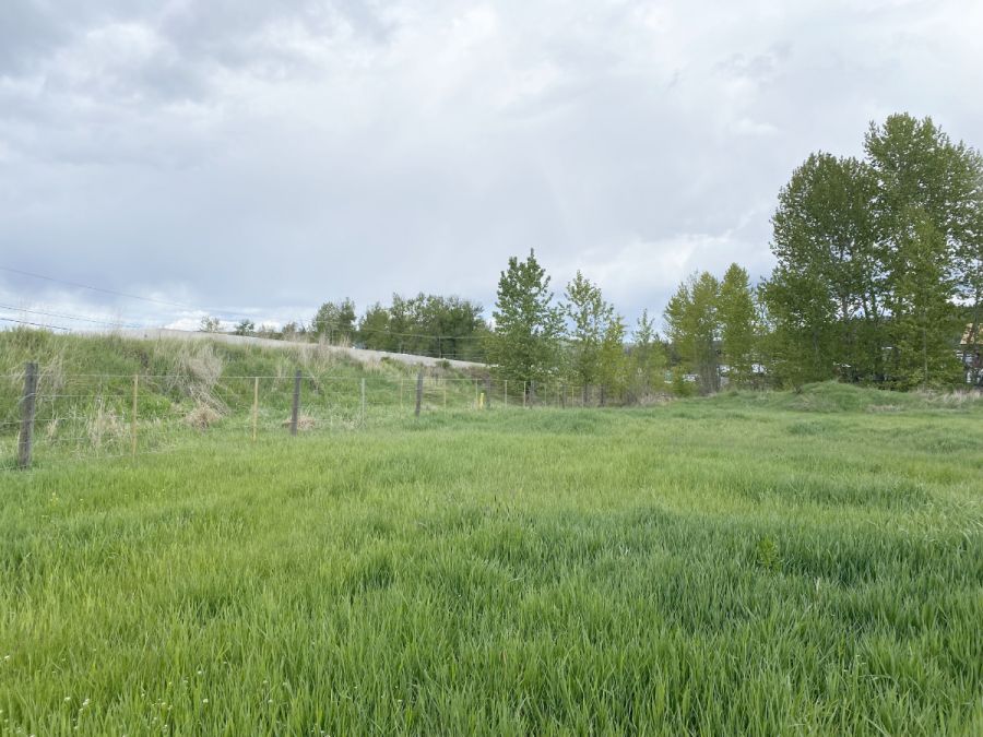 <who> Photo Credit: Andie Mollins, Local Journalism Initiative Reporter</who> Hoyrup describes the courthouse as an island. Caught in a field with a salmon bearing creek and a Chemo RV dealership to its right, a trailer park to its left, a highway ahead of it and a distant ranch behind it separated only by soft ground, the old building is essentially stuck.