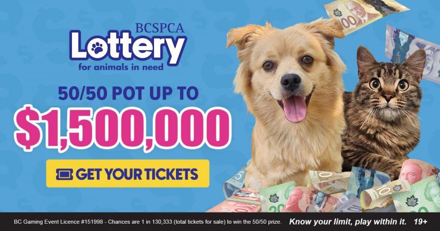 <who> Photo Credit: BC SPCA