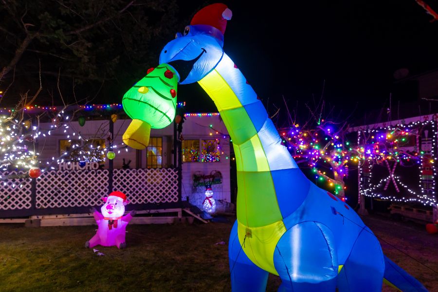 <who>Photo Credit: NowMedia/Gord Goble</who> Sue Ann Allen's display at 1438 Main St.