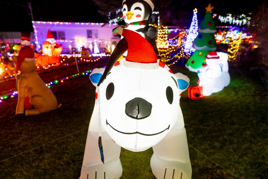 <who>Photo Credit: NowMedia/Gord Goble</who> Sue Ann Allen's display at 1438 Main St.