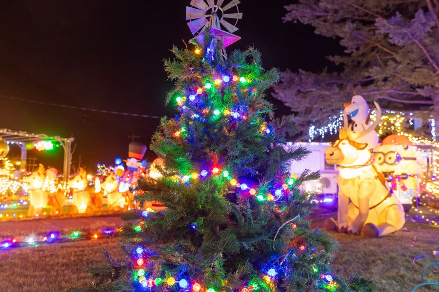 <who>Photo Credit: NowMedia/Gord Goble</who> Sue Ann Allen's display at 1438 Main St.