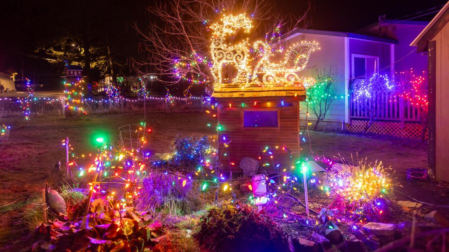 <who>Photo Credit: NowMedia/Gord Goble</who> Scene from one of many Olalla Christmas houses