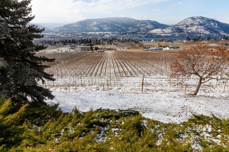 <who>Photo Credit: NowMedia/Gord Goble</who> The downhill view from Four Shadows