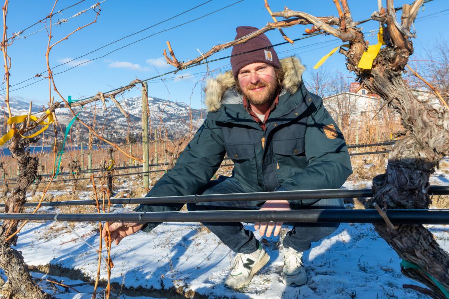 <who>Photo Credit: NowMedia/Gord Goble</who> Evan Saunders amongst the vines