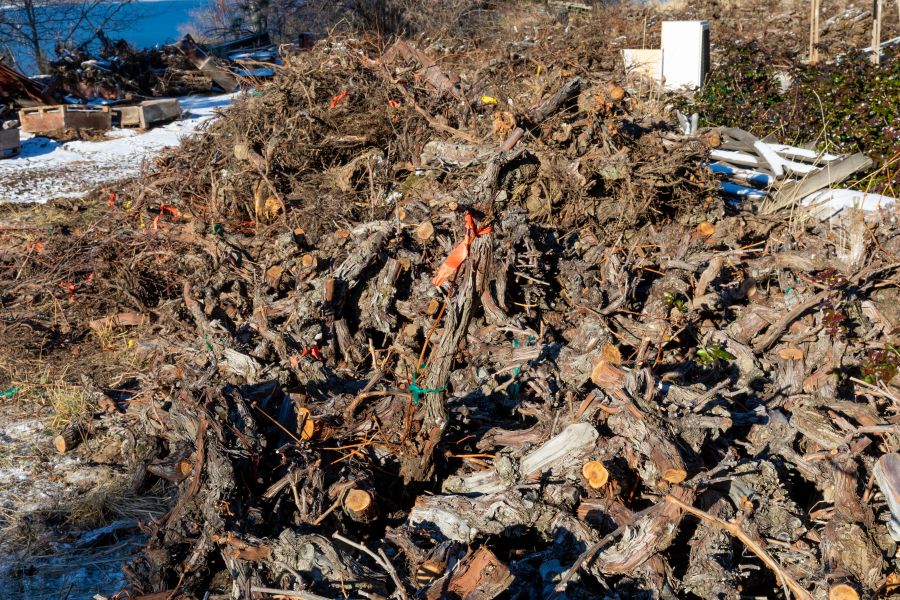 <who>Photo Credit: NowMedia/Gord Goble</who> The Blasted Church plant graveyard
