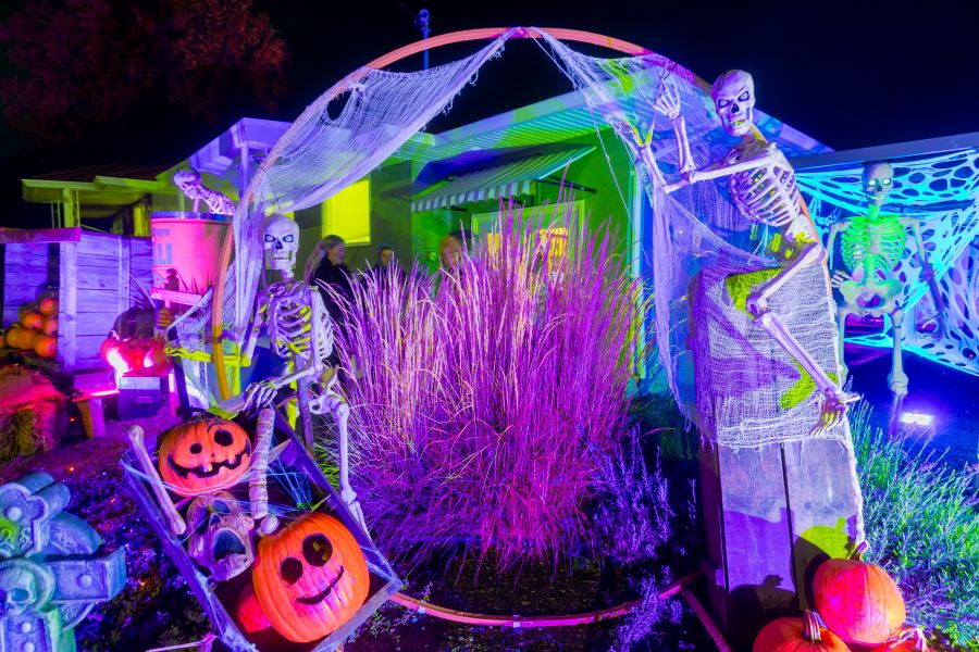 <who>Photo Credit: NowMedia/Gord Goble</who>