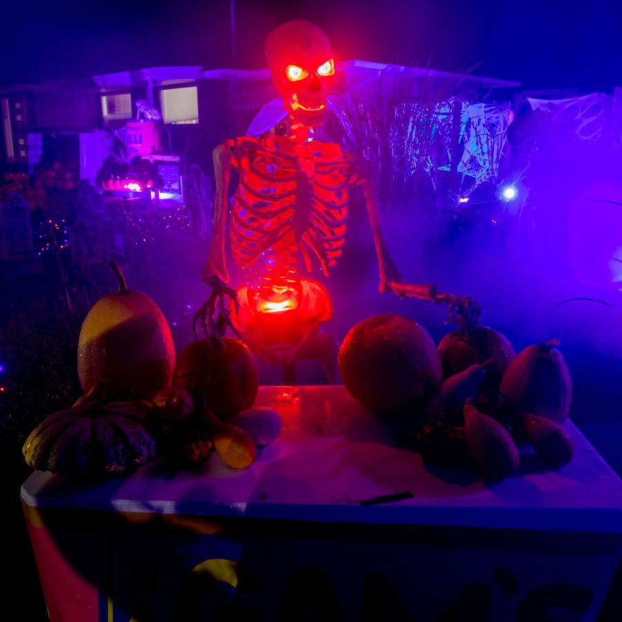 <who>Photo Credit: NowMedia/Gord Goble</who>