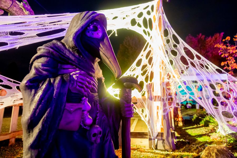 <who>Photo Credit: NowMedia/Gord Goble</who>