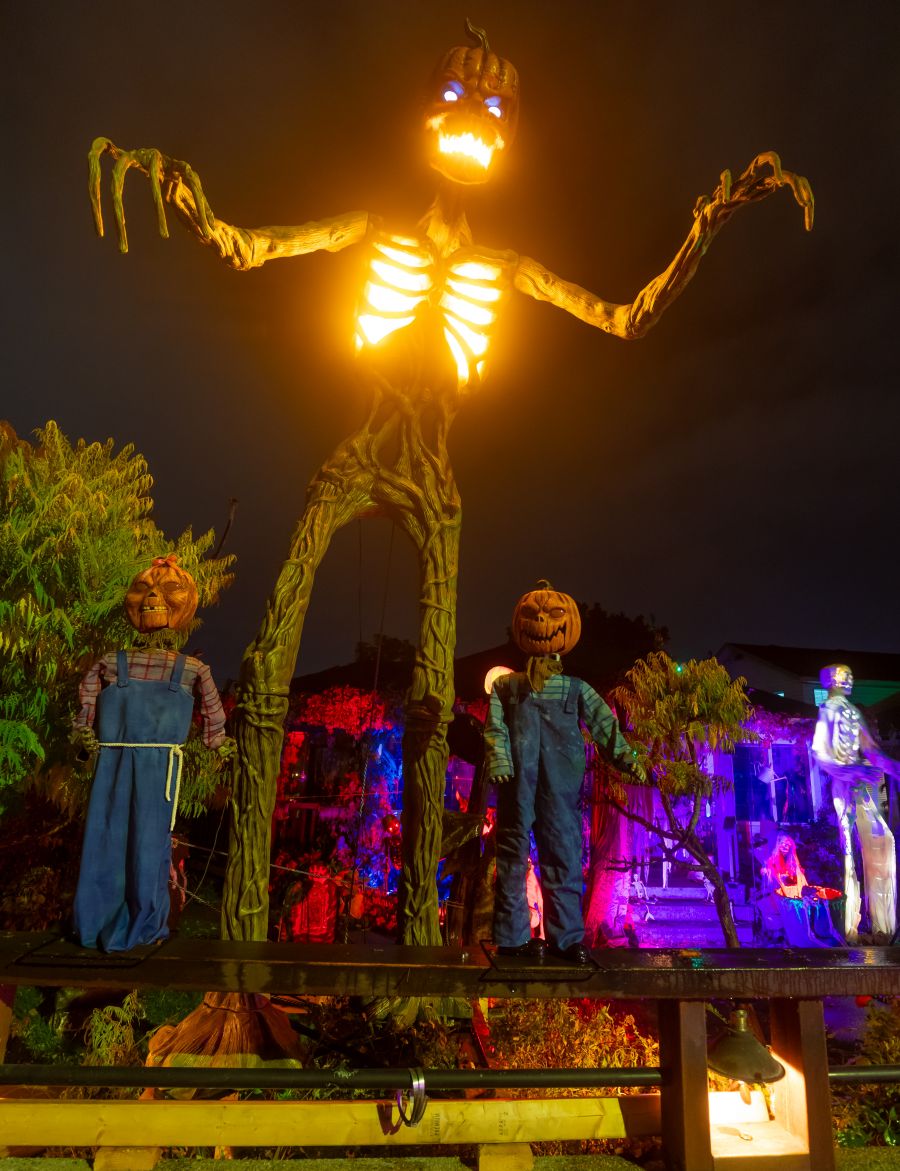 <who>Photo Credit: NowMedia/Gord Goble</who>