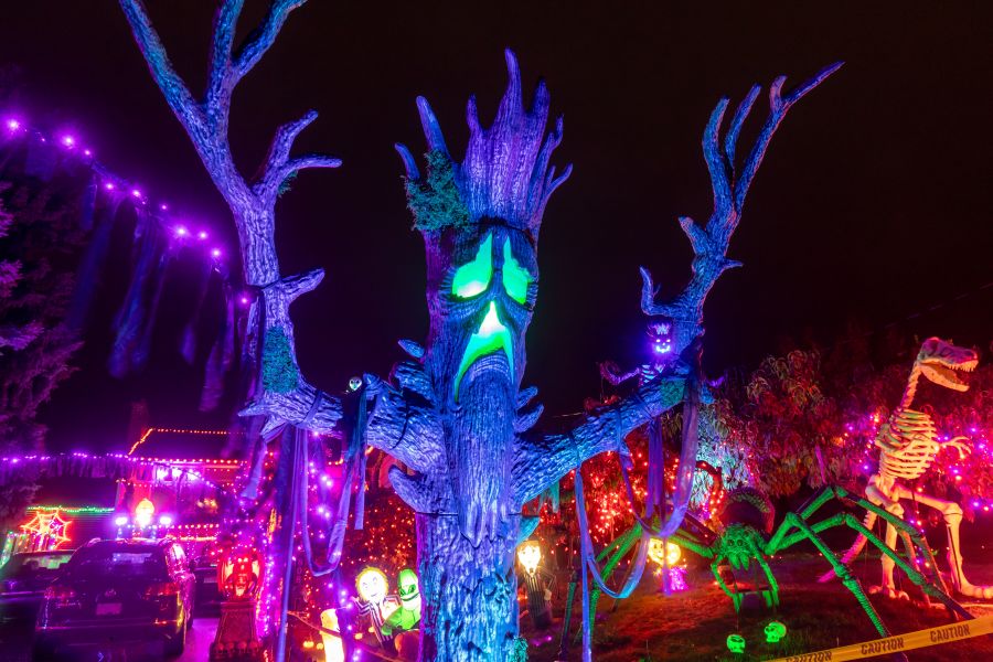 <who>Photo Credit: NowMedia/Gord Goble</who>