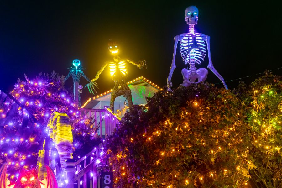 <who>Photo Credit: NowMedia/Gord Goble</who>