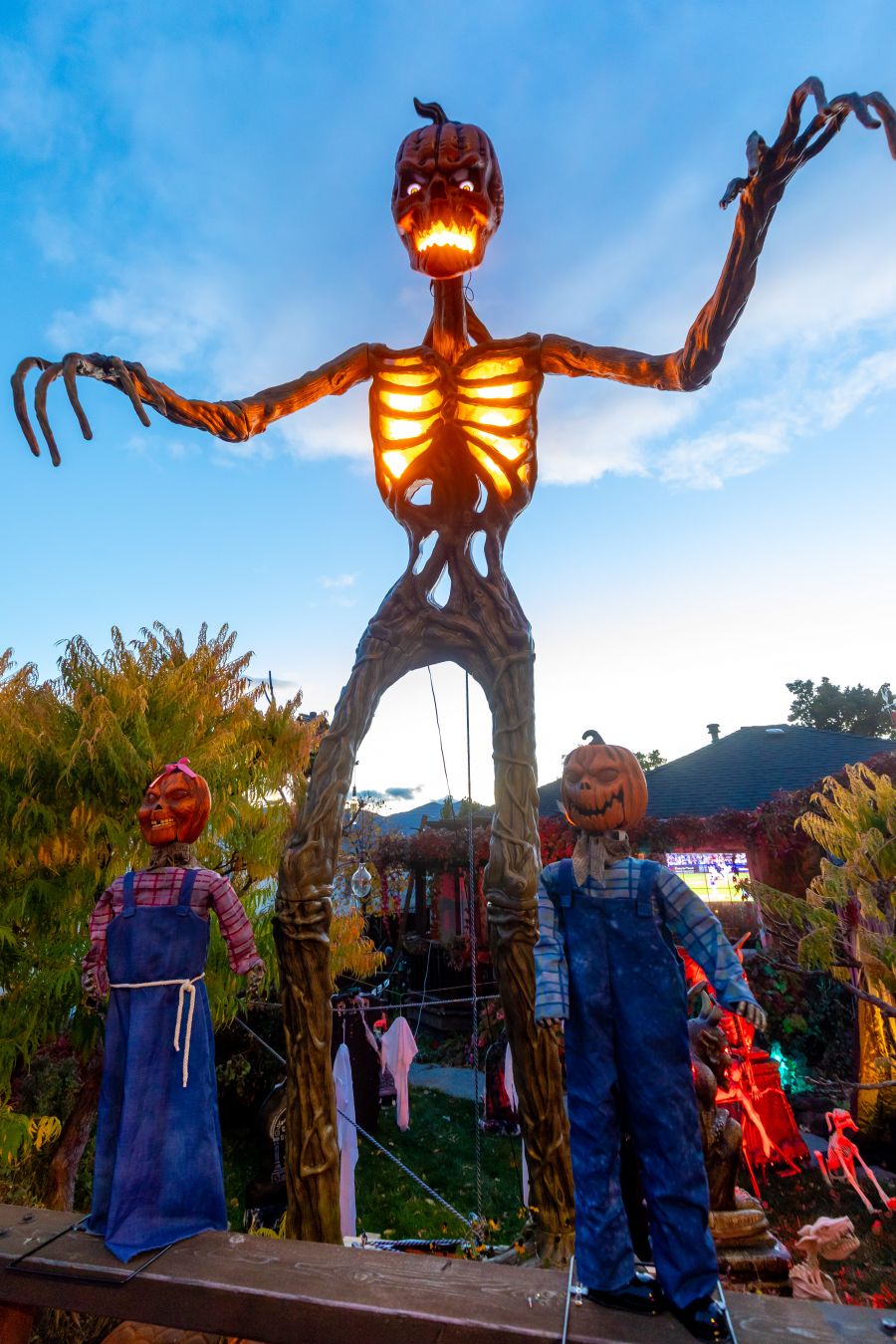 <who>Photo Credit: NowMedia/Gord Goble</who>