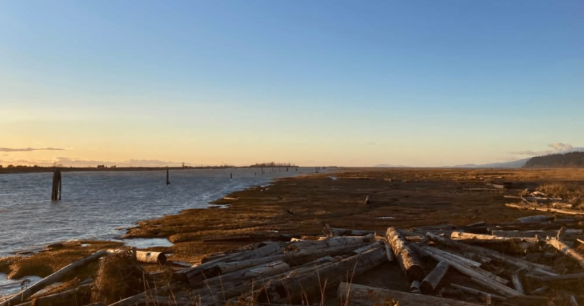 <who> Photo Credit: Musqueam
