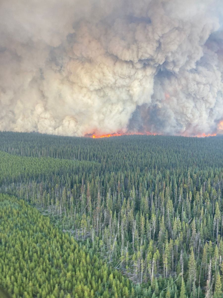 <who> Photo Credit: BC Wildfire Service