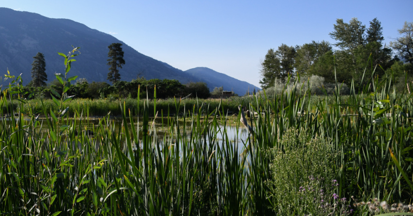 <who> Photo Credit: BC Wildlife Federation
