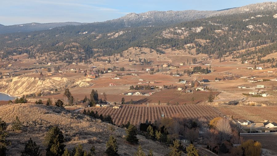 <who>Photo Credit: NowMedia/Gord Goble</who> The Naramata Bench, Feb. 7, 2025