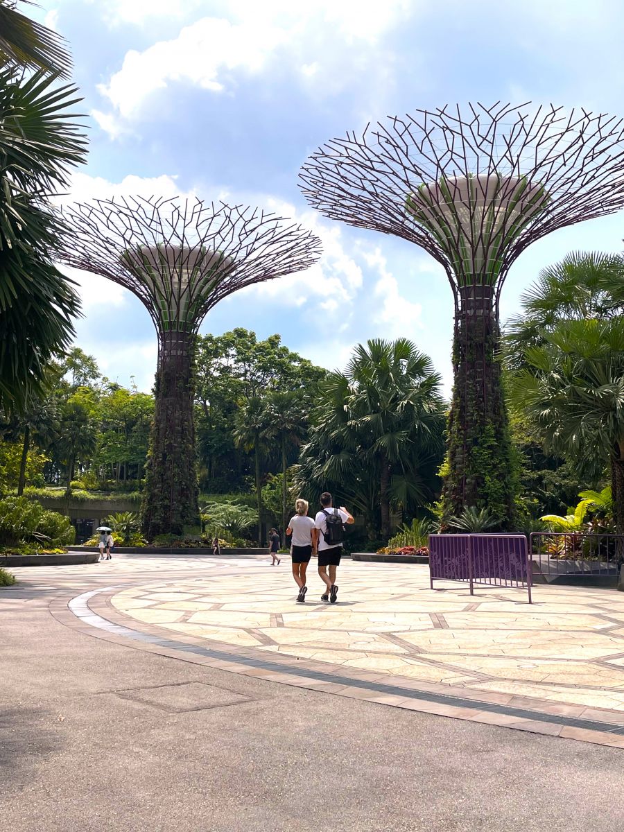 <who>Photo credit: Steve MacNaull/NowMedia Group</who>Some of the futuristic Supertrees at Gardens by the Bay.
