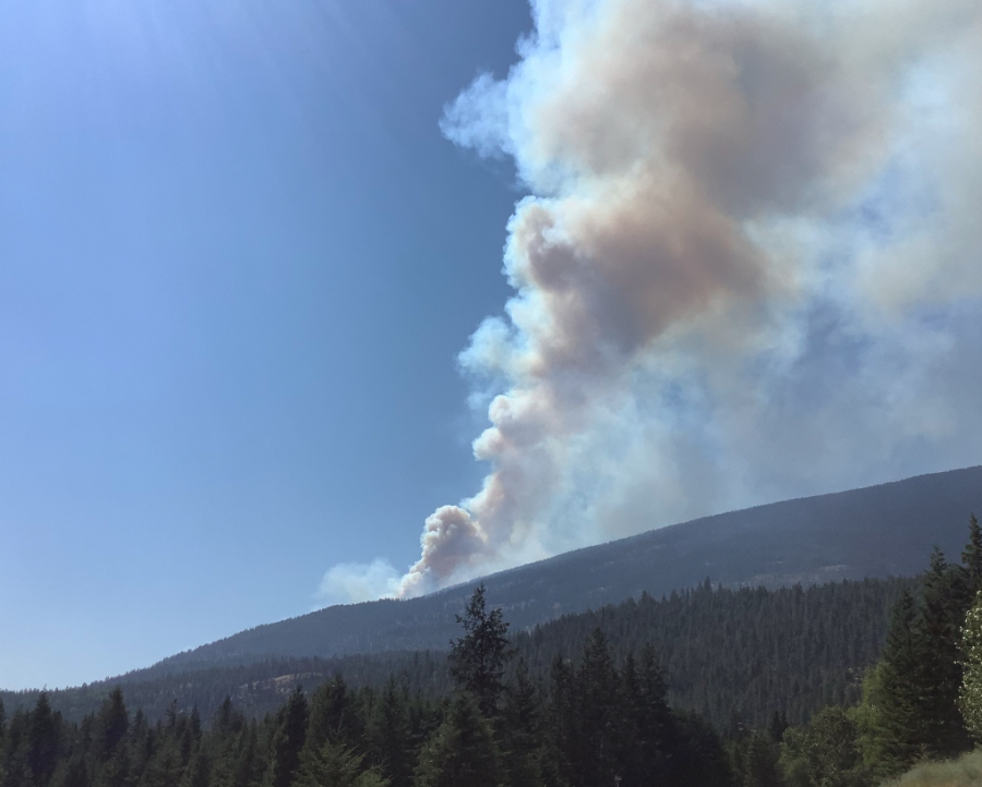 <who> Photo credit: BCWS </who> A fire in the Kootenays last month.