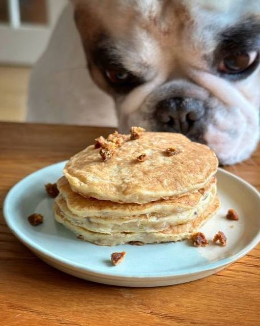 <who>Photo credit: So Fetch Canine Social Club