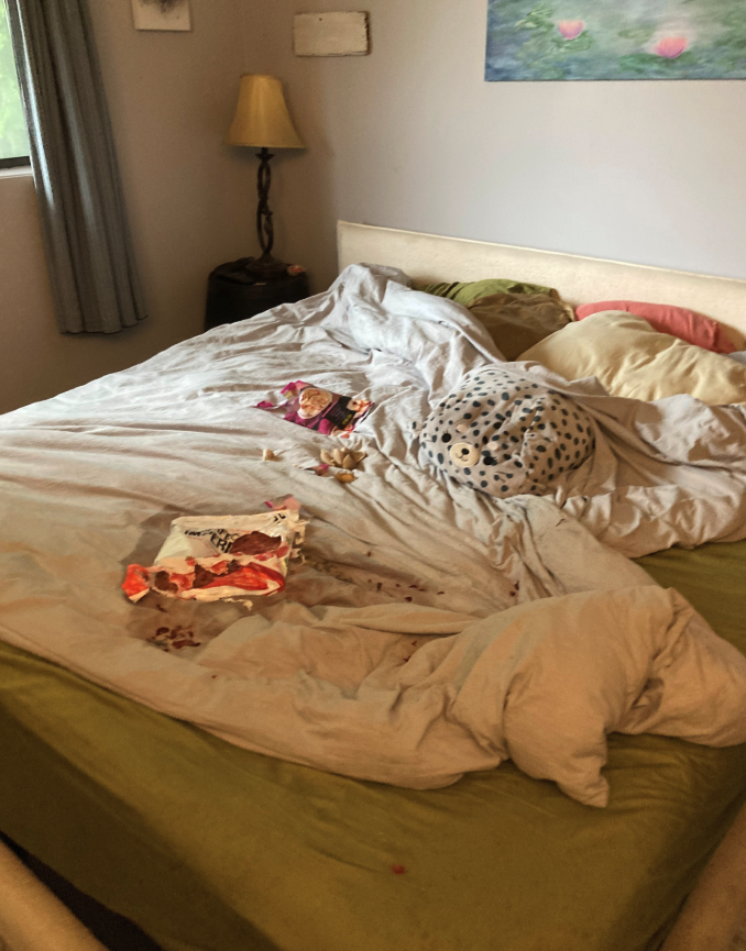 <who> Photo credit: LJI </who> “I was calling it the reverse Goldilocks because he tested out the spare bedroom, the couch and my bed and chose my bed to eat the raspberries and bear meat,” said Halvorson.