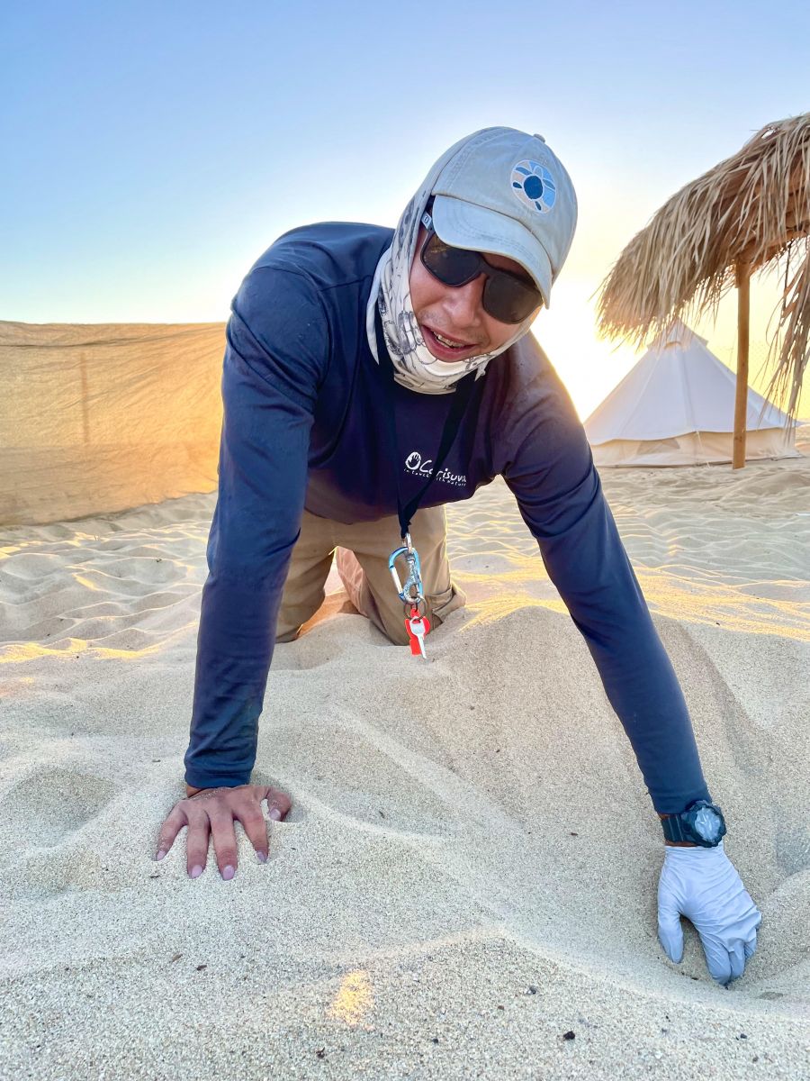 </who>Marine biologist Patrick Madrigal digs up a turtle nest.