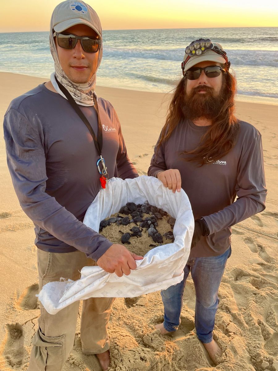 </who>Marine biologists Patrick Madrigal, left, and Alex Rodriguez with a basket full of baby turtles.