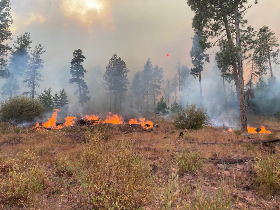 <who>Photo Credit: BC Wildfire Service</who>A planned ignition on the Munro Lake FSR wildfire on Sept. 28 helped crews bring the fire under control.