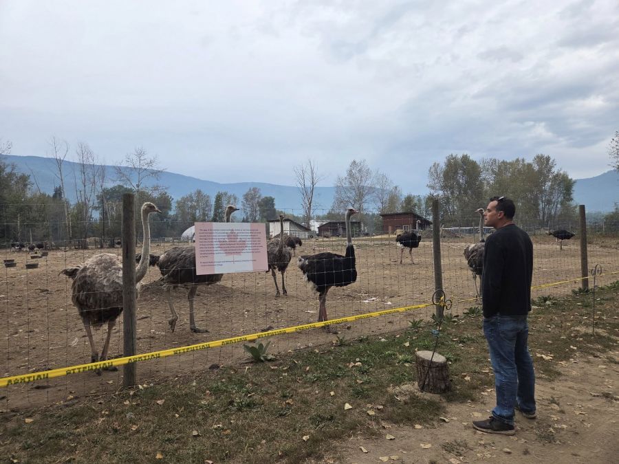 <who>Photo Credit: Katie Patisney/Facebook