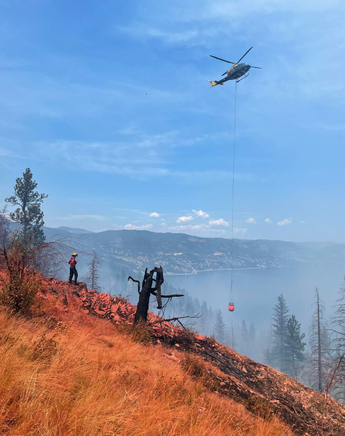 <who> Photo credit: BCWS </who> Firefighters attacking the blaze yesterday.