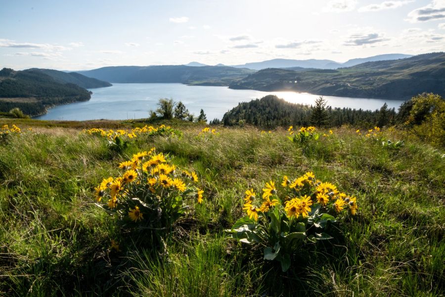 <who>Photo Credit: Destination BC</who>Kalamalka Lake Provincial Park