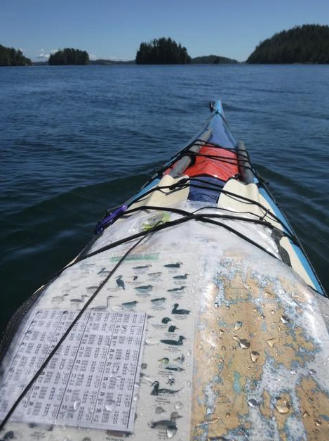 <who> Photo credit: NOLS Pacific Northwest Facebook photo </who> Navigating BC coastal waters by sea kayak.