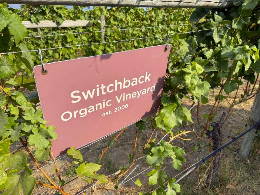 </who>The Pinot Gris from the Switchback Organic Vineyard is fermented and aged completely in concrete.