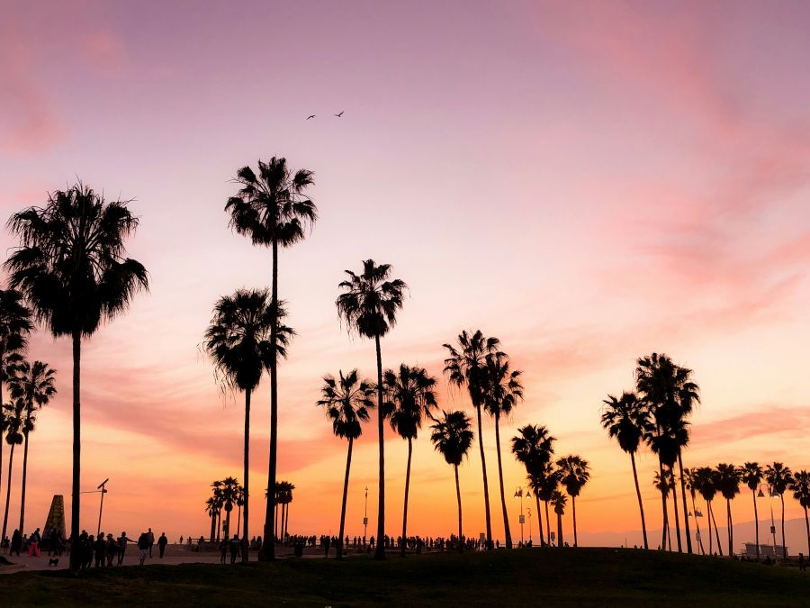 <who>Photo credit: Viviana Rishe on Unsplash</who>Vacationers from the Okanagan will be catching the flight to Los Angeles to catch some rays.