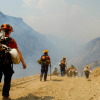 How BC Wildfire Service is fighting misinformation with compassion