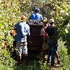 Migrant workers say program changes would hurt, not help