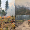 Peachland wildfire: ZipZone Adventure Park hit with evacuation order