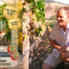Okanagan wineries dominate at the All-Canadian Wine Championships