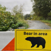 BC Conservation Officer Service says man bitten and scratched by grizzly bear