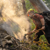 Planned burn could have killed trapped firefighters, says BC safety report