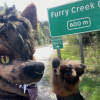 Furries at Furry Creek: What’s going on at BC highway sign?