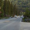 Watch for moose and elk on BC highways: road safety advocate