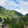 Dan Albas: Why are BC's forestry jobs going to the US? Payroll costs, carbon tax