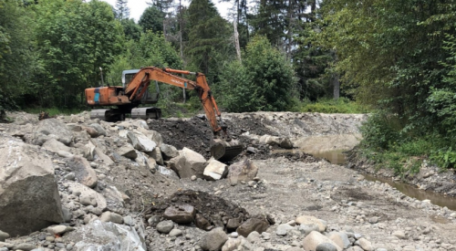BC man handed $60K fine for damaging 'vital fish habitat'