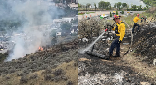Kamloops RCMP seek witnesses of fire in Strathcona Park