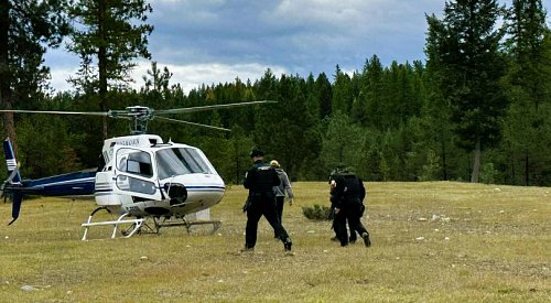 UPDATE: Grizzly who put hunter in Kelowna hospital found dead