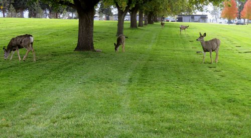 Kelowna weather: Cool, wet and gloomy start to the week