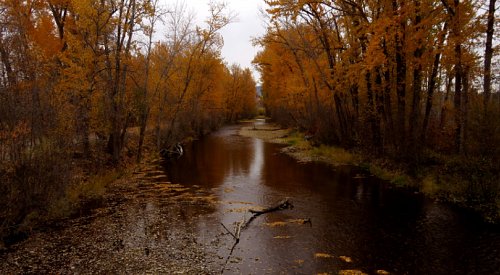 Kelowna weather: Rain, rain, rain and a high of 6ºC