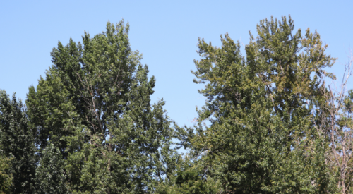 Kelowna weather: Mainly sunny start to the weekend